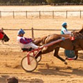corrida cavalos 3.jpg